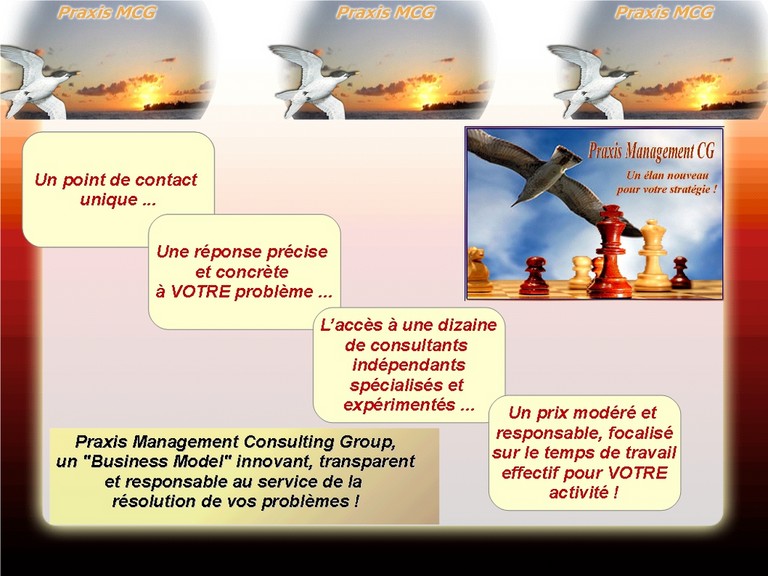 PMCG - Business Model